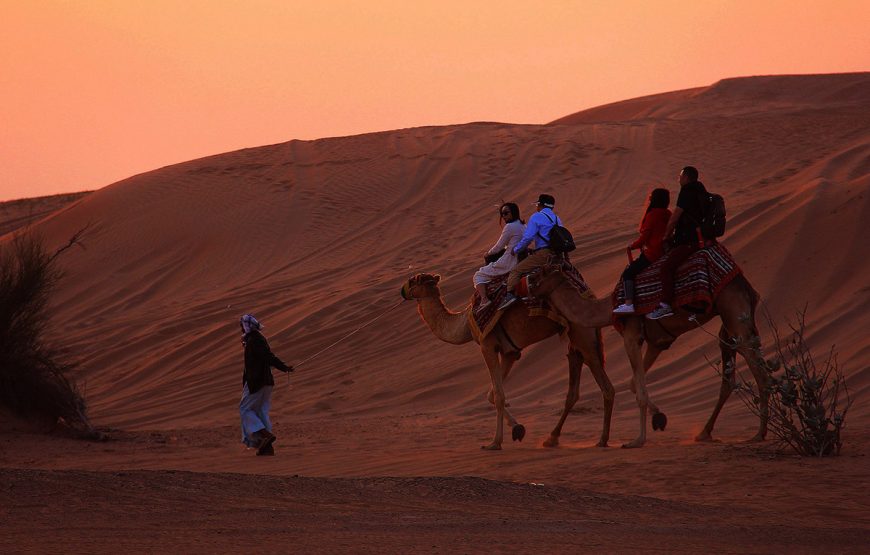 Red Dunes Desert Safari Tour |Red Dunes Tour Dubai